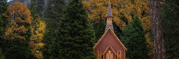 Kaplica, Drzewa, Stany Zjednoczone, Stan Kalifornia, Kościółek, Las, Park Narodowy Yosemite, Zima