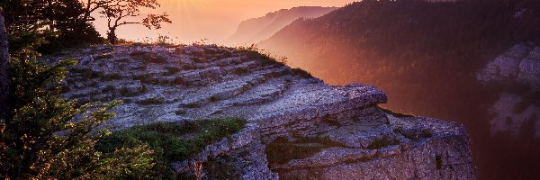 Creux du Van, Skały, Lasy, Jura, Góry, Szwajcaria, Mgła, Drzewa, Wschód słońca