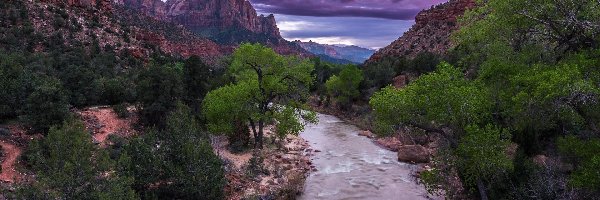 Rzeka Virgin River, Park Narodowy Zion, Skały, Rzeka, Stany Zjednoczone, Kamienie, Góra Watchman, Zachód słońca, Drzewa, Stan Utah, Chmury