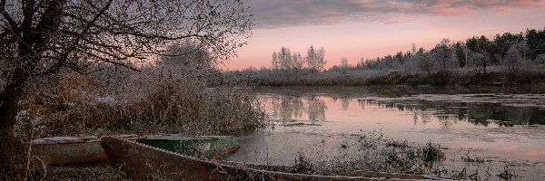 Mgła, Rzeka, Drzewo, Szron, Dubna, Łódka, Szuwary, Łotwa