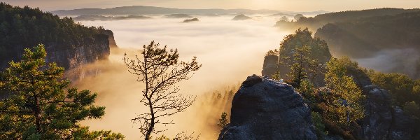 Góry Połabskie, Wschód słońca, Skały, Las, Drzewa, Niemcy, Saksonia, Mgła, Park Narodowy Saskiej Szwajcarii