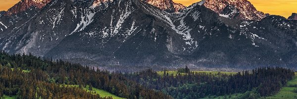 Góry, Kasprowy Wierch, Tatry, Polska, Lasy