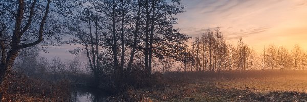 Mgła, Drzewa, Rzeka, Wschód słońca, Łąka, Jesień