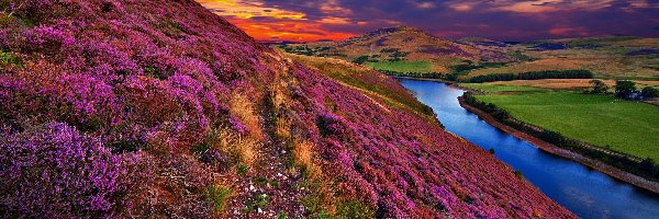 Pentland Hills, Zachód Słońca, Szkocja, Edynburg, Wzgórza, Zbiornik, Jezioro Threipmuir, Wrzosowisko