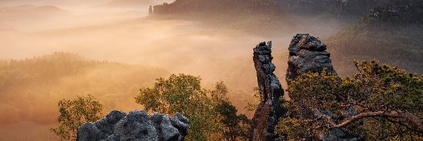 Niemcy, Skały, Mgła, Drzewa, Góry Połabskie, Park Narodowy Saskiej Szwajcarii, Wschód słońca