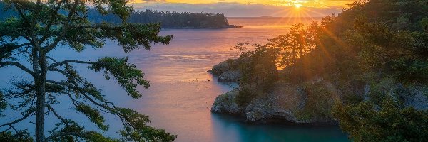 Stany Zjednoczone, Cieśnina Deception Pass, Drzewa, Morze, Promienie słońca, Stan Waszyngton, Oak Harbor