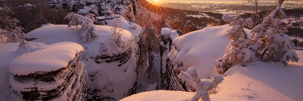 Drzewa, Zima, Ośnieżone, Góry Połabskie, Park Narodowy Czeska Szwajcaria, Czechy, Wschód słońca, Skały, Śnieg