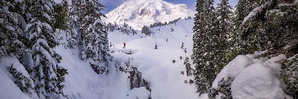 Góry, Zaśnieżony, Góra, Myrtle Falls, Stany Zjednoczone, Park Narodowy Mount Rainier, Drzewa, Stan Waszyngton, Zima, Wodospad, Mount Rainier