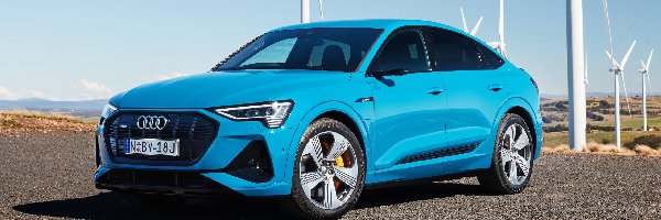 Audi e-Tron 55 Sportback, Niebieskie