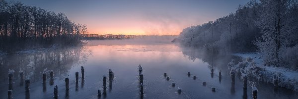 Szatura, Jezioro Białe, Rosja, Kołki, Mgła, Oszronione, Drzewa, Zima, Wschód słońca, Obwód moskiewski