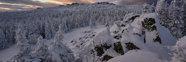 Skały, Ośnieżone, Drzewa, Chmury, Zima, Las