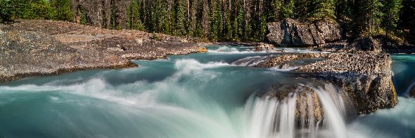 Skały, Kicking Horse River, Świerki, Drzewa, Góry, Kanada, Kolumbia Brytyjska, Rzeka, Park Narodowy Yoho