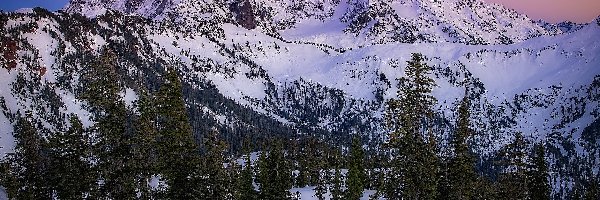 Śnieg, Mount Shuksan, Stany Zjednoczone, Stan Waszyngton, Zima, Drzewa, Park Narodowy Północnych Gór Kaskadowych, Góry Kaskadowe