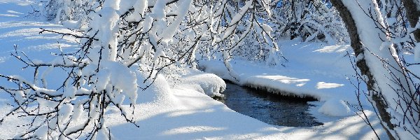 Drzewa, Śnieg, Dzień, Słoneczny, Ośnieżone, Gałęzie, Strumień, Zima