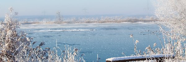 Oszronione, Ławka, Jezioro, Rośliny, Śnieg, Zima