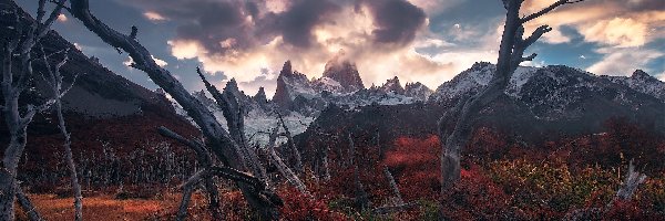 Gałęzie, Jesień, Promienie słońca, Góra, Argentyna, Fitz Roy, Drzewa, Patagonia, Park Narodowy Los Glaciares, Góry Andy, Chmury