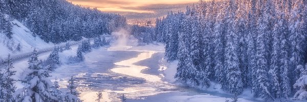 Park Narodowy Banff, Rzeka, Kanada, Canadian Rockies, Świerki, Ośnieżone, Góry, Zima, Śnieg, Alberta