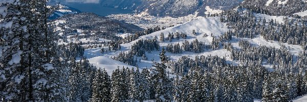 Dolina, Góry, Jezioro, Zima, Szwajcaria, Drzewa, Wzgórza, Kanton Schwyz, Świerki, Chmury, Hoch-Ybrig