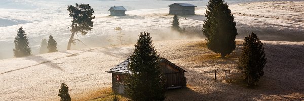 Drewniane, Dolomity, Dolina Val Gardena, Płaskowyż Seiser Alm, Włochy, Mgła, Drzewa, Góry, Domki