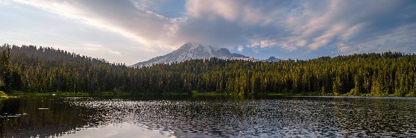 Drzewa, Stratowulkan, Stany Zjednoczone, Park Narodowy Mount Rainier, Jezioro, Reflection Lake, Chmury, Góra, Mount Rainier, Stan Waszyngton