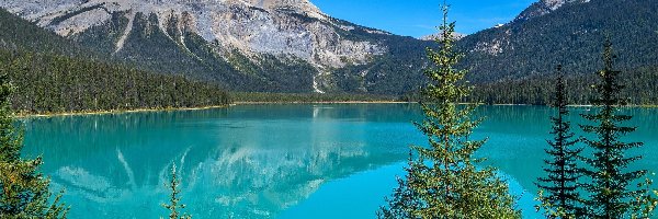 Kanada, Emerald Lake, Świerki, Jezioro, Góry, Kolumbia Brytyjska, Park Narodowy Yoho