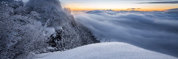 Ośnieżone, Śnieg, Chmury, Zachód słońca, Góry, Drzewa, Mgła, Zima