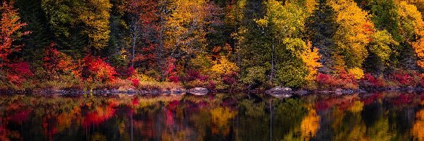 Jesień, Kolorowe, Jezioro, Odbicie, Drzewa