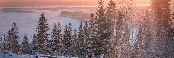 Zima, Wschód słońca, Śnieg, Ogrodzenie, Drzewa