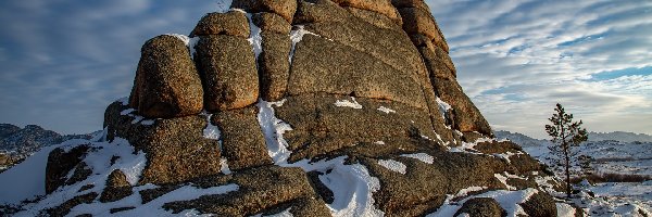 Skała, Drzewo, Śnieg, Zima
