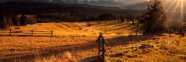 Polska, Drzewo, Promienie słońca, Pola, Jesień, Tatry, Góry