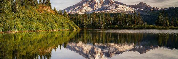 Stratowulkan, Jezioro, Stany Zjednoczone, Park Narodowy Mount Rainier, Drzewa, Świerki, Odbicie, Góry, Bench Lake, Stan Waszyngton