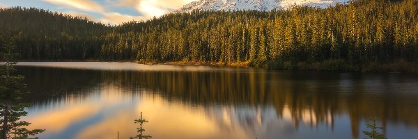 Jezioro, Odbicie, Drzewa, Park Narodowy Mount Rainier, Stratowulkan Munt Rainier, Stany Zjednoczone, Stan Waszyngton, Chmury, Bench Lake