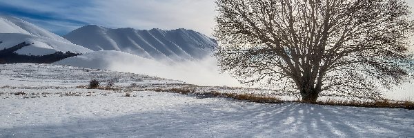 Ślady, Zima, Włochy, Sibillini Mountains, Śnieg, Park Narodowy Monti Sibillini, Góry, Drzewo