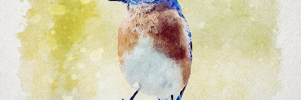 Ptak, Grafika, Gałązka, Niebiesko-brązowy