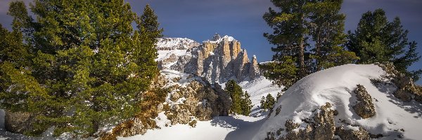 Skały, Góra, Włochy, Południowy Tyrol, Sella Towers, Drzewa, Zima, Góry