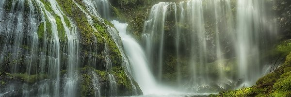 Wodospad, Roślinność, Las, Stan Waszyngton, Stany Zjednoczone, Gifford Pinchot National Forest, Miejsce chronione, Drzewa, Panther Creek Falls