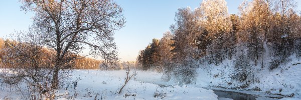 Zima, Rzeka, Śnieg, Drzewa, Ośnieżone