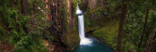 Roślinność, Park Narodowy Jeziora Kraterowego, Wodospad, Stan Oregon, Stany Zjednoczone, Skały, Toketee Falls