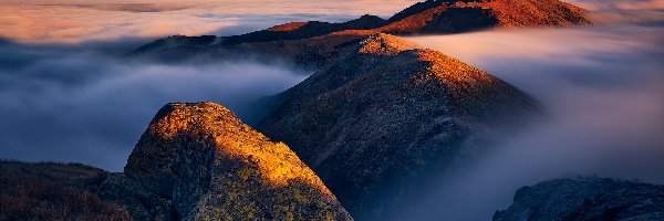 Dziumbier, Mgła, Szczyt, Słowacja, Tatry Niżne, Góry