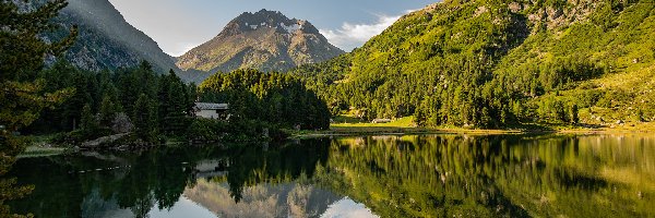 Kamienie, Las, Szwajcaria, Dom, Jezioro, Lage Cavloc, Odbicie, Góry Alpy, Drzewa, Kanton Gryzonia