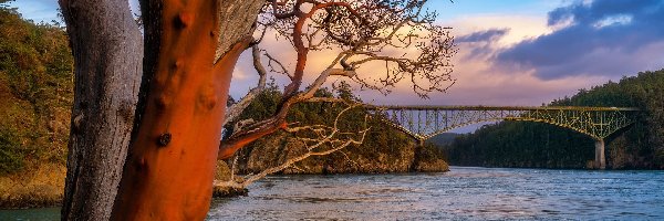 Deception Pass, Cieśnina, Most, Waszyngton, Stany Zjednoczone, Chmury, Drzewa, Deception Pass Bridge, Las