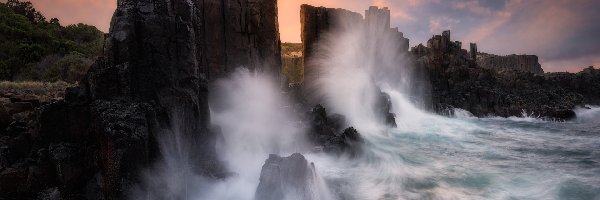 Drzewa, Skały, Formacja skalna, Fale, Morze, Australia, Kiama, Bombo Headland Quarry, Bombo