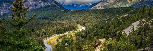 Chmury, Świerk, Rzeka, Las, Góry, Kanada, Alberta, Bow River, Park Narodowy Banff