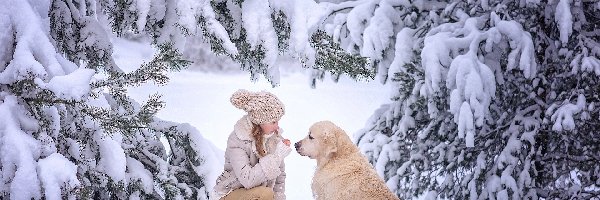 Ośnieżone, Golden retriever, Zima, Drzewa, Pies, Dziewczynka