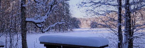 Zaśnieżone, Stół, Drzewa, Jezioro, Ławka, Zima