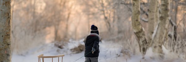 Zima, Śnieg, Chłopiec, Drzewa, Sanki