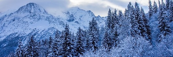 Góry, Ośnieżone, Drzewa, Chmury, Śnieg, Zima