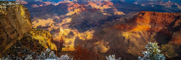 Rośliny, Wielki Kanion Kolorado, Stany Zjednoczone, Arizona, Grand Canyon, Śnieg, Góry, Park Narodowy Wielkiego Kanionu