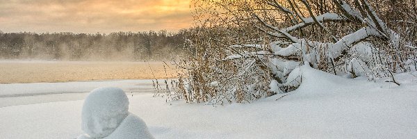 Zima, Krzewy, Ośnieżone, Mgła, Rzeka