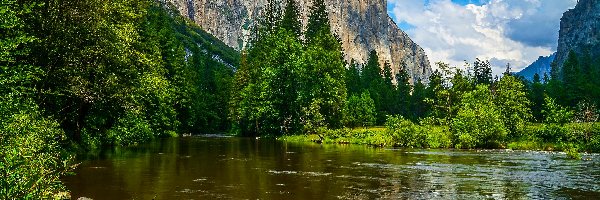 Góry Skaliste, Rzeka, Stany Zjednoczone, Kalifornia, Merced River, Zielone, Drzewa, Park Narodowy Yosemite